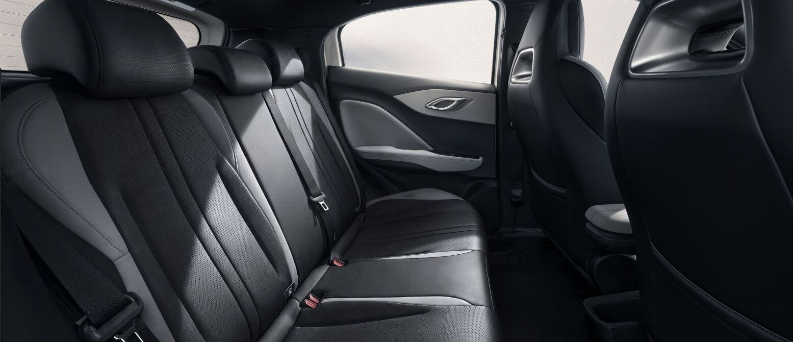 BYD Dolphin Surf interieur