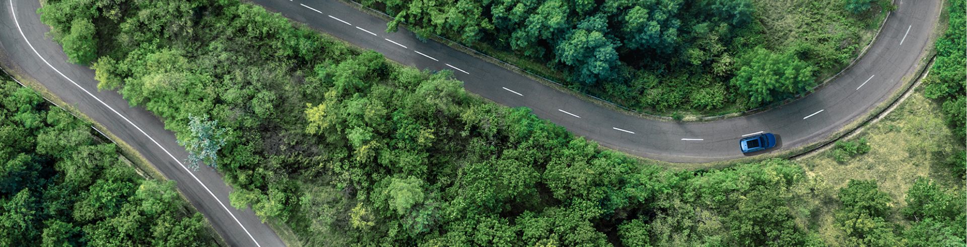 Pagina niet gevonden