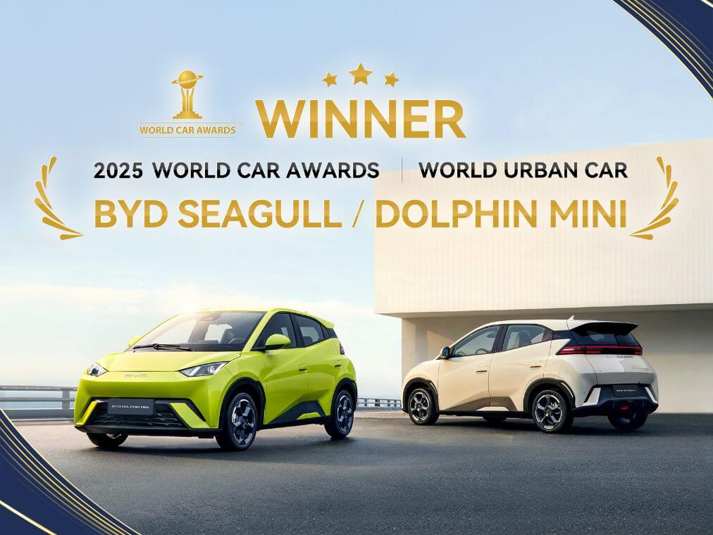 DOLPHIN SURF WINT URBAN CAR AWARD